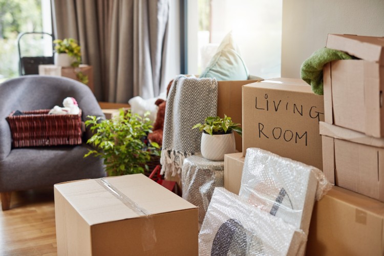 Unpacking Living Room Moving Blog